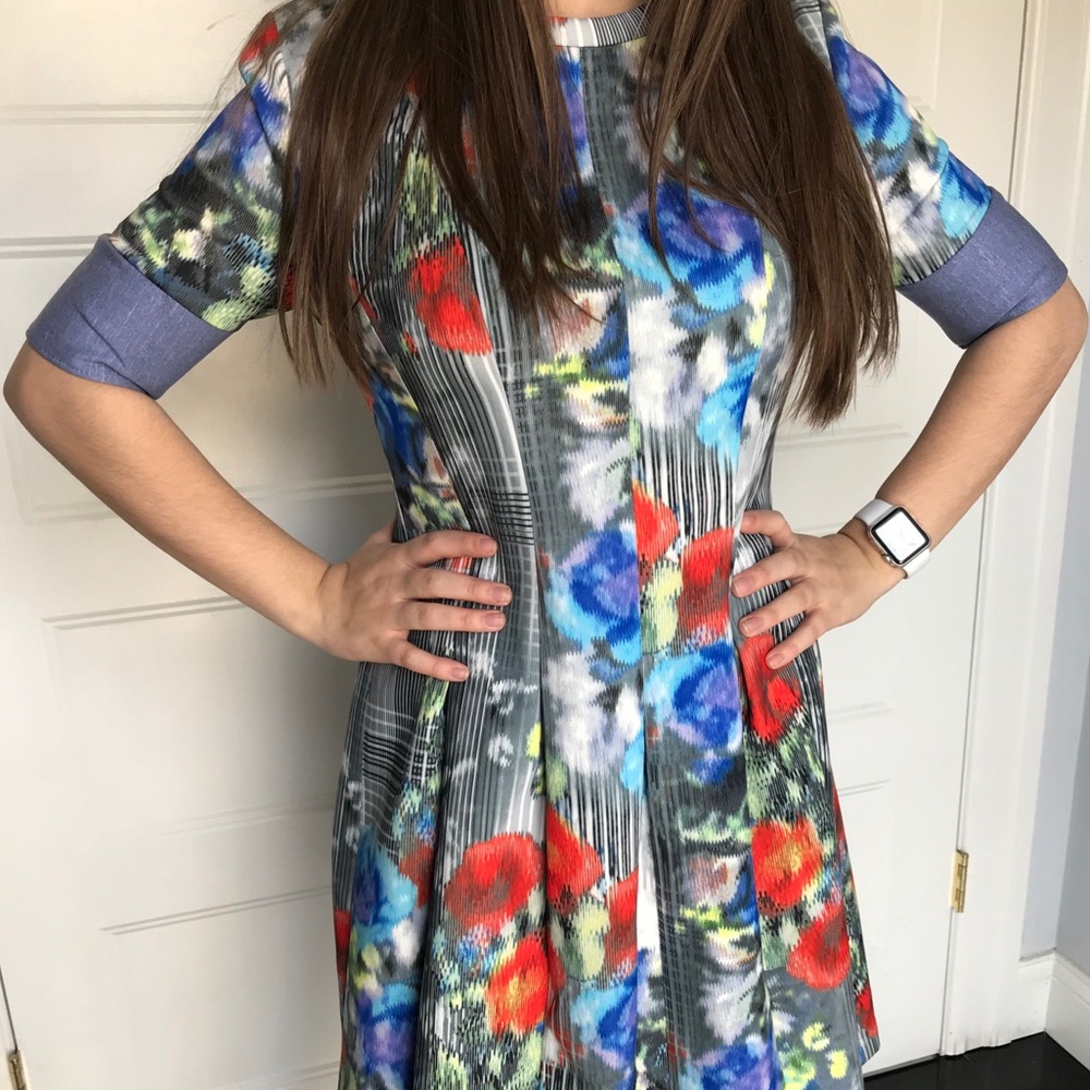 Catherine multicolor scuba dress